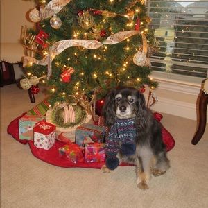 Meet your Posher, Ann